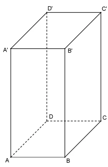 Figura 3: paralelipipedul dreptunghic ABCDA'B'C'D' (stupul), mai înalt decât lat.