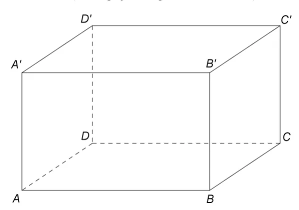 Figura 3: prisma dreaptă ABCDA'B'C'D' cu baza pătrată (acvariul).
