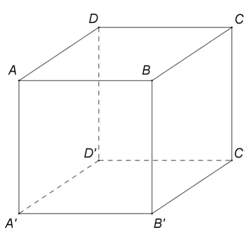 Figura 3: cubul ABCDA'B'C'D' cu fața de sus ABCD (capacul).