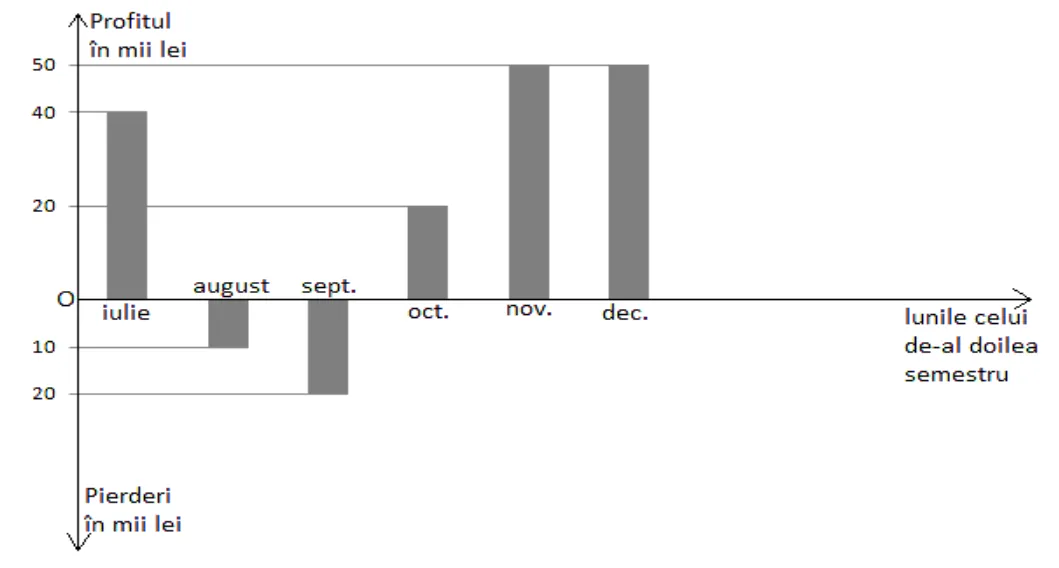 Diagramă cu bare: profit (în sus) sau pierdere (în jos), în mii de lei, pe luni: iulie profit 40, august pierdere 10, septembrie pierdere 20, octombrie profit 20, noiembrie profit 50, decembrie profit 50.