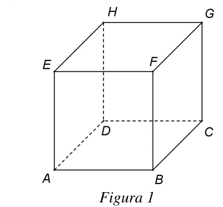 Figura 1: cubul ABCDEFGH.