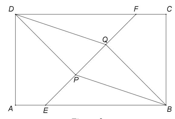 Figura 2: dreptunghiul ABCD cu aleea EF (E pe AB, F pe CD) și perpendicularele DP și BQ pe EF; sunt trasate și DQ și BP.