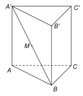 Figura 3: prisma dreaptă triunghiulară ABCA'B'C', cu M mijlocul diagonalei laterale A'B.