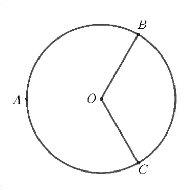 Cercul de centru O cu punctele A, B, C pe cerc; razele OB și OC trasate.