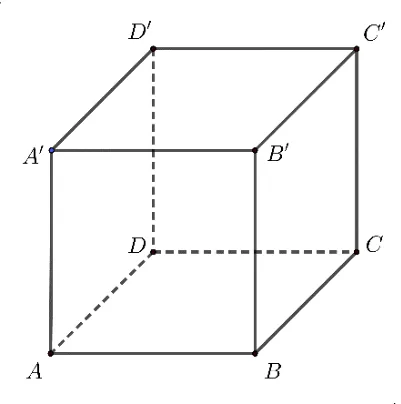 Cubul ABCDA'B'C'D'.