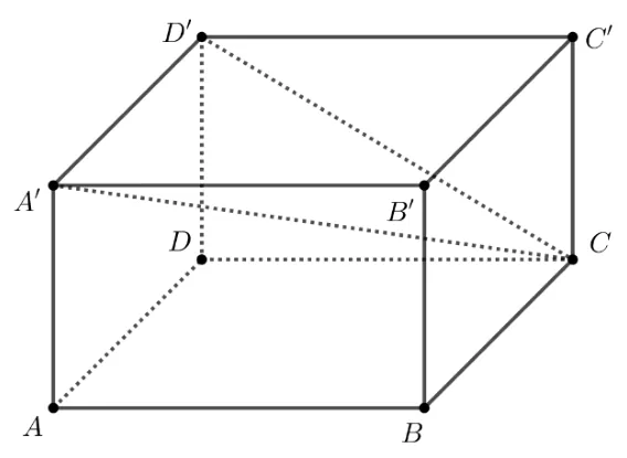 Paralelipipedul dreptunghic ABCDA'B'C'D' cu triunghiul A'D'C trasat.
