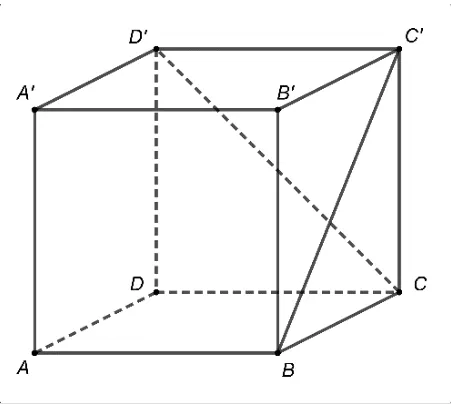 Cubul ABCDA'B'C'D' cu diagonalele de față BC' și D'C trasate.