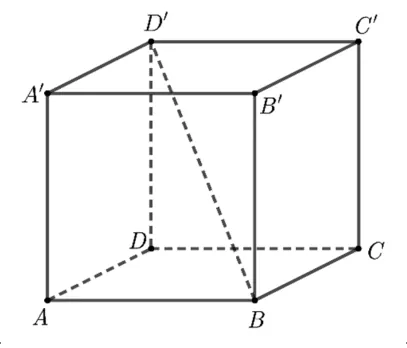 Cubul ABCDA'B'C'D' cu diagonala BD' trasată punctat.