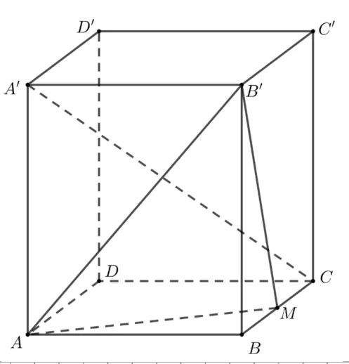 Paralelipipedul dreptunghic ABCDA'B'C'D' cu M mijlocul muchiei BC; sunt trasate A'C, AB', B'M și AM.