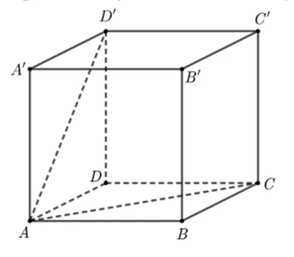 Cubul ABCDA'B'C'D' cu diagonalele de față AC și AD' trasate punctat.