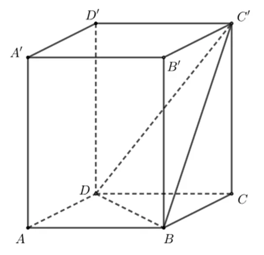 Prisma dreaptă ABCDA'B'C'D' cu baza pătratul ABCD; sunt trasate segmentele C'B, C'D și BD (punctat).