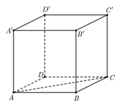 Cubul ABCDA'B'C'D' cu diagonala AC a bazei trasată punctat.